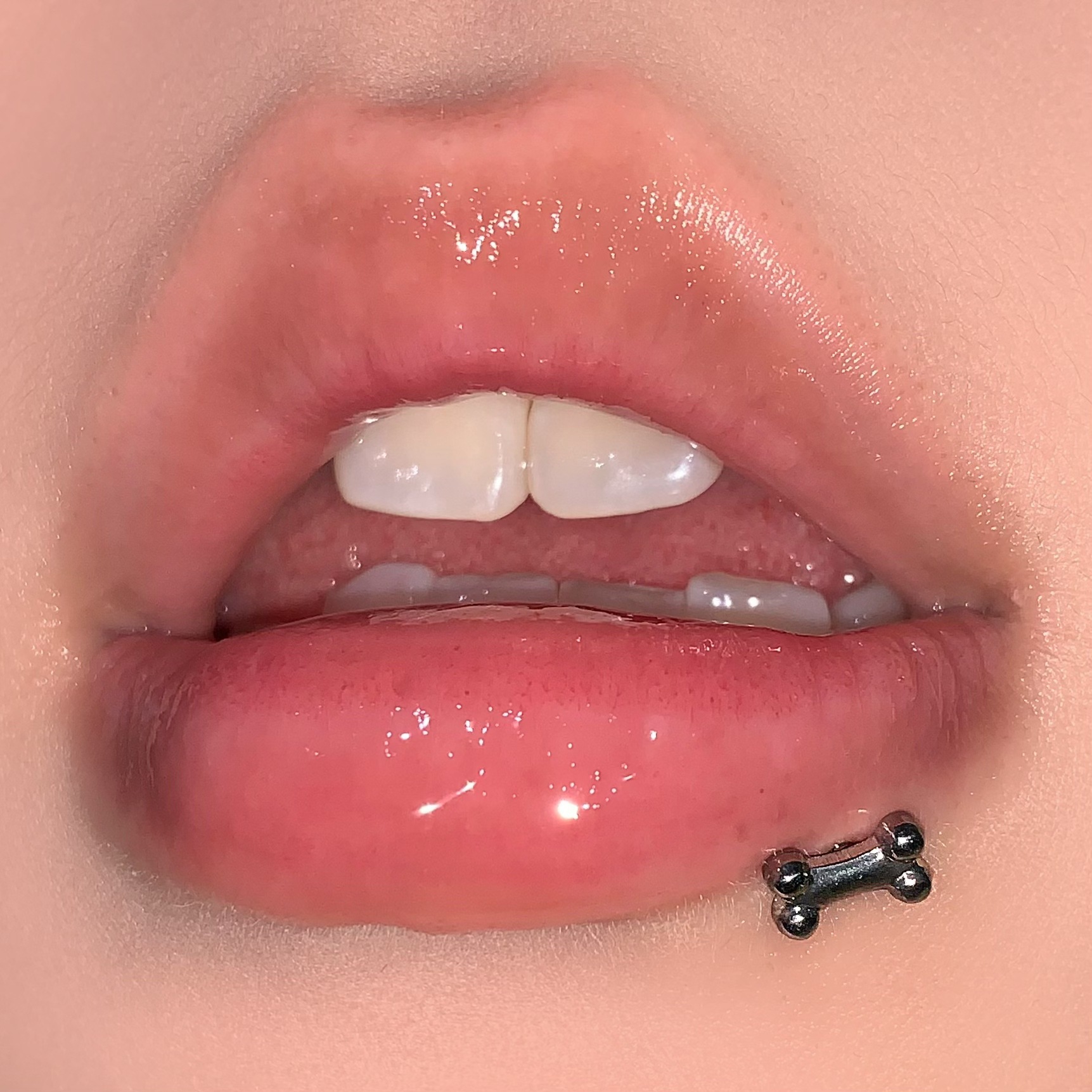 Puppy Bone Lip Labret Stud 316L Surgical Steel Internal Thread Lip Piercing Jewelry for Women Men - Image 2