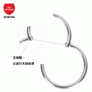 G23 Titanium Nose Ring Closed Hoop No Pin Compartment Buckle Closed Ring Earrings Cartilage Ring Titanium Alloy Piercing Jewelry