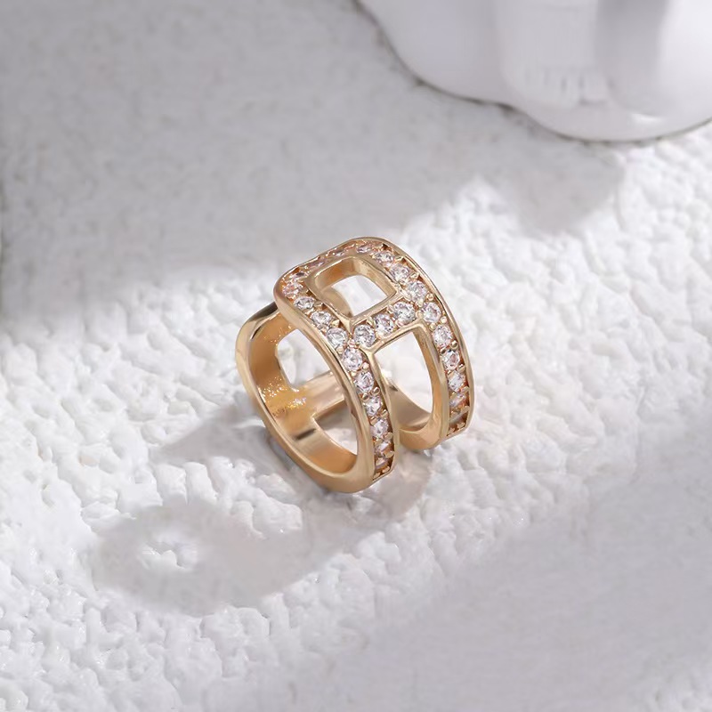 TikTok Style Exquisite Small High-End Zircon H Earrings for Women Fashion Niche Design Temperament Earrings - Image 2