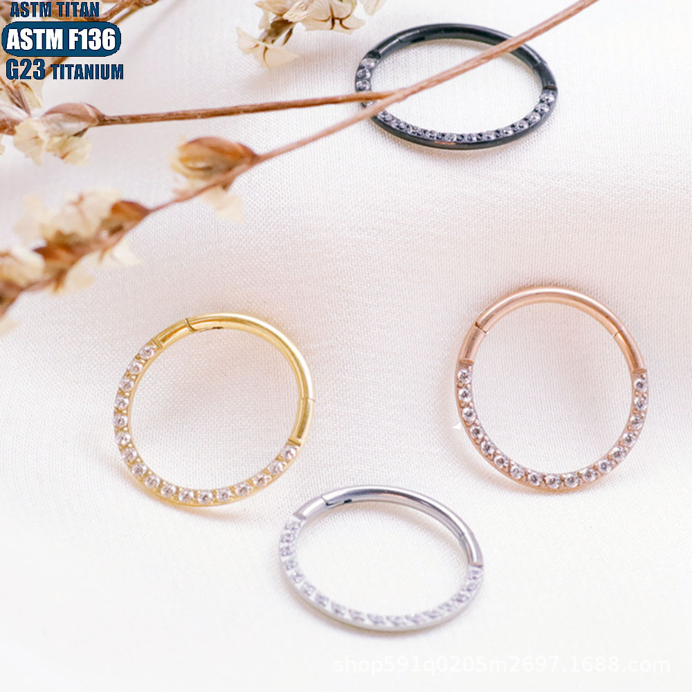 F136 Titanium Alloy Zircon Earrings CNC Seamless Ring Nose Ring Diaphragm Perforated Jewelry Ear Ring - Image 2
