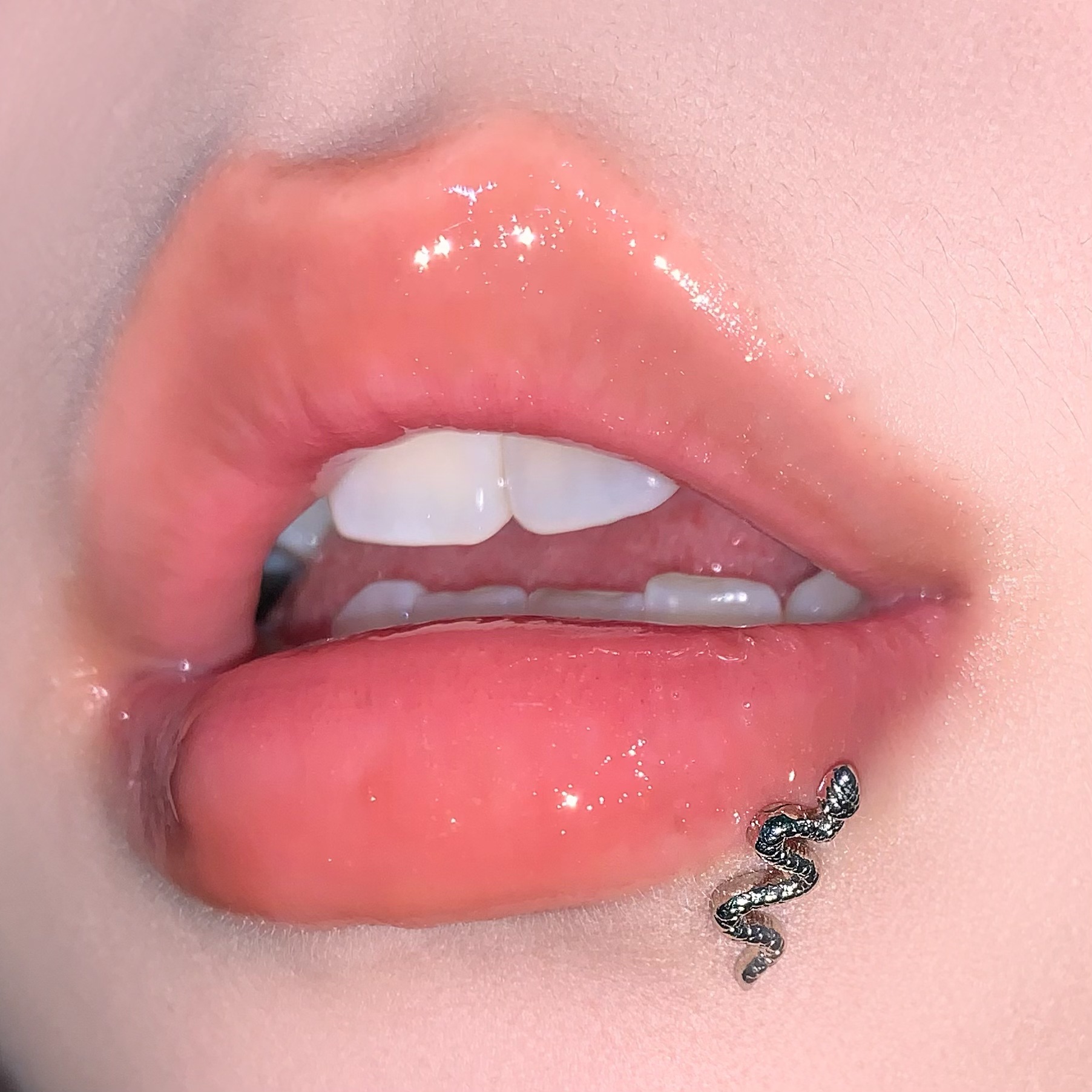 Small Snake Lip Piercing Jewelry 316L Surgical Steel Internally Threaded Straight Barbell Lip Ring Sexy Body Jewelry - Image 2