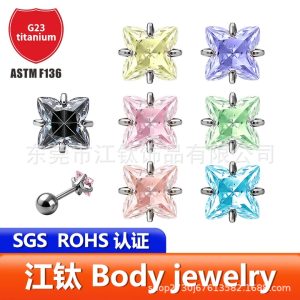 G23 Titanium Lily-Cut Zircon Lip Piercing Nose Stud Ear Stud Body Piercing Jewelry Ear Bone Stud