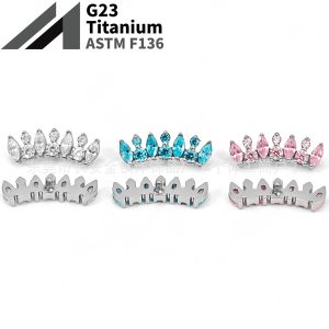 F136 Titanium Internal Thread Full Diamond Crown Zircon Earrings Cochlear Nail Ear Bone Nail G23 Titanium Alloy Piercing Jewelry