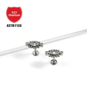 G23 Titanium Earrings with 5A Zircon Body Jewelry Custom Design
