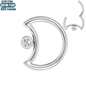 G23 Titanium Wholesale Zircon Nose Ring Nose Piercing Jewelry Nasal Septum Closed Seamless Hoop Earrings Trendy