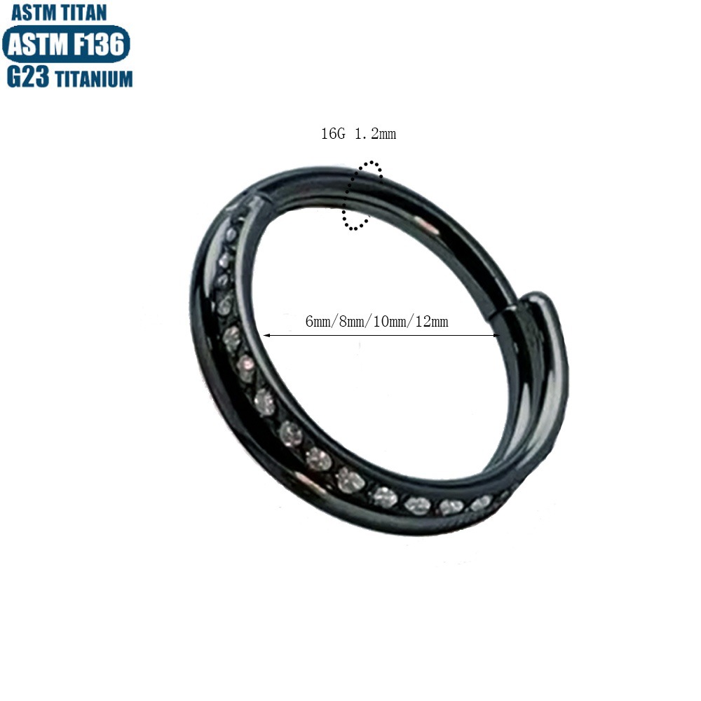 F136 Titanium Alloy Nose Ring Nasal Septum Double Zircon Nose Ring Earrings Body Piercing Jewelry Seamless Closed Ring - Image 4