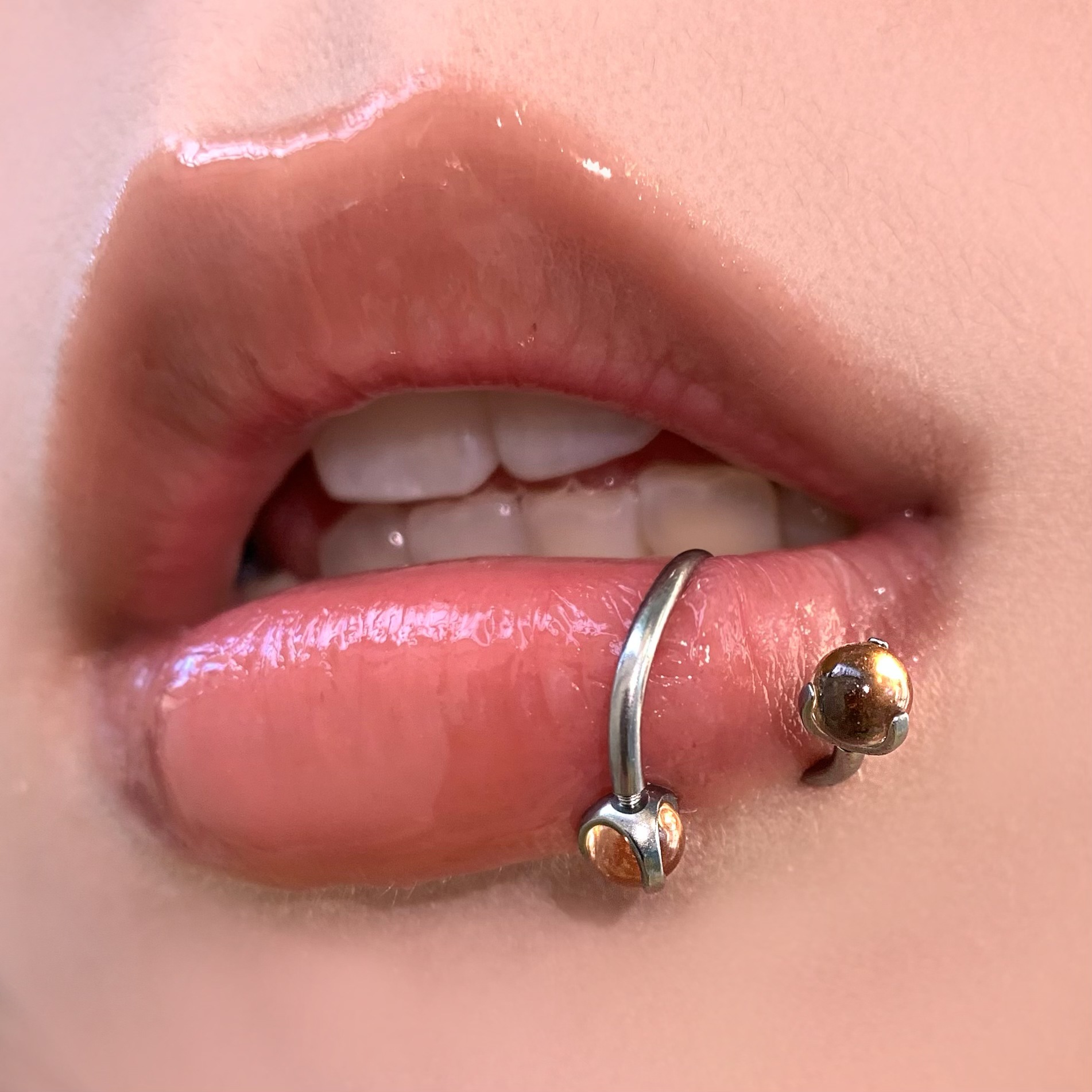 Champ Gold S-Shaped Lip Ring 12mm Internal Thread Steel Titanium Lip Hoop for Hot Girl Piercing Jewelry Wholesale - Image 2