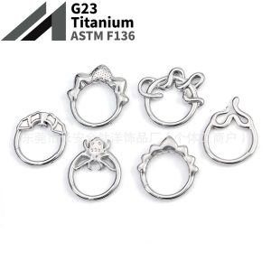 F136 Titanium Fashion Geometric Closed Ring Pinless Hoop Earrings Nose Ring Seamless Ring G23 Titanium Alloy Piercing Jewelry