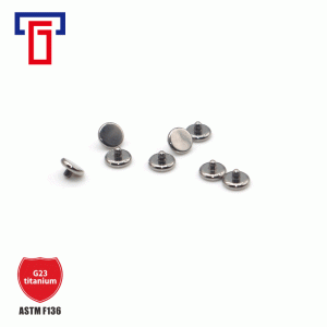 G23 Titanium Flat Curved Surface Foundation Nail Labret Lip Stud Titanium Alloy Piercing Jewelry