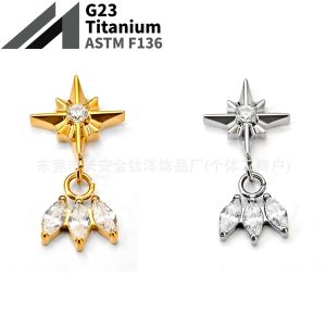 F136 Titanium Gold-Plated Eight-Pointed Star Marquise Pendant Zircon Lip Stud Ear Bone Stud G23 Titanium Alloy Piercing Jewelry