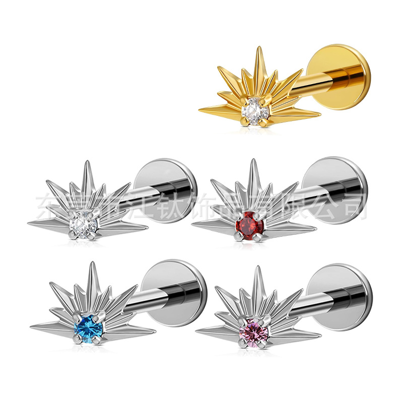 Gold Crown Zircon G23 Titanium Alloy Ear Cartilage Stud Earring Body Piercing Jewelry - Image 5