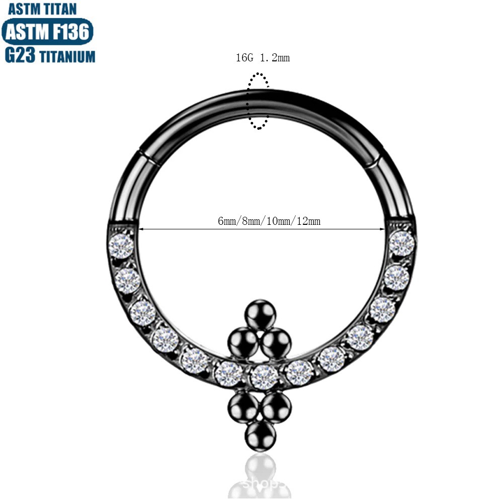 F136 Titanium Perforated Nose Ring with Inner Bead Cluster, Nasal Septum Jewelry, Seamless Zircon Earrings - Image 4