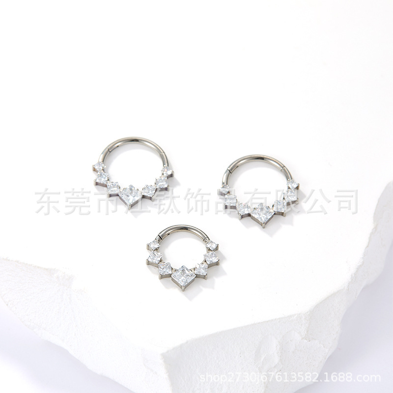 Titanium Nose Ring Fishbone Zircon Closed Ring G23 ASTM F136 Body Piercing Jewelry Earrings - Image 2