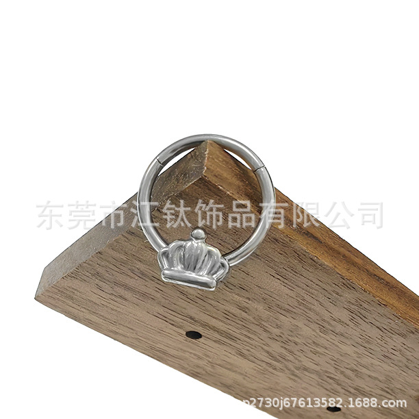 F136 Titanium Seamless Ring Nose Hoop Crown Earrings G23 Titanium Alloy Body Jewelry - Image 2