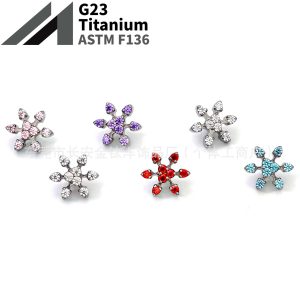 F136 Titanium Internal Thread Snowflake Zircon Lip Labret Stud Ear Bone Nail G23 Titanium Alloy Body Piercing Jewelry