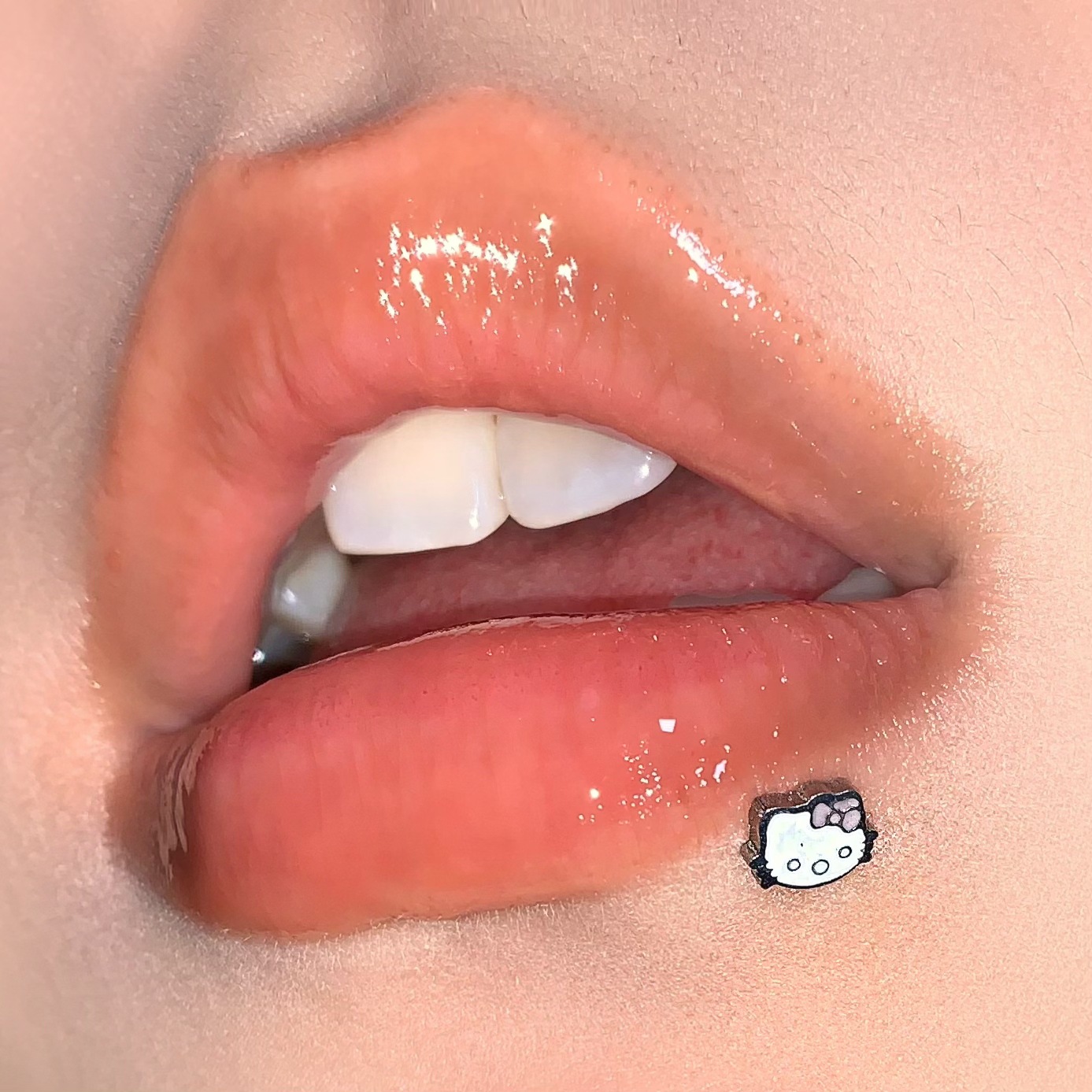 Cute Kitty Cat Lip Piercing Internally Threaded Titanium Steel Sweet Ear Bone Piercing Jewelry for Women Hot Girl - Image 2