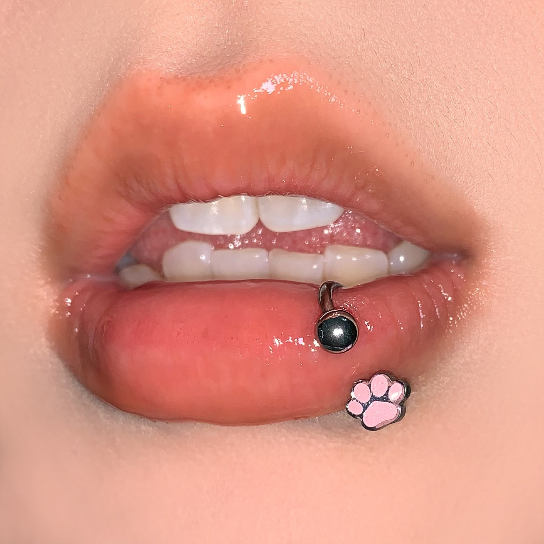 Pink Cat Paw and Dog Paw Lip Ring C-Ring 316L Surgical Steel Internally Threaded Horseshoe Ring Lip Stud European and American Style Piercing Jewelry - Image 2