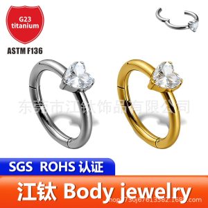 G23 Titanium Nose Ring with Heart-Shaped Zircon - Closed Ring Body Piercing Jewelry for Women Men 1.2x8mm