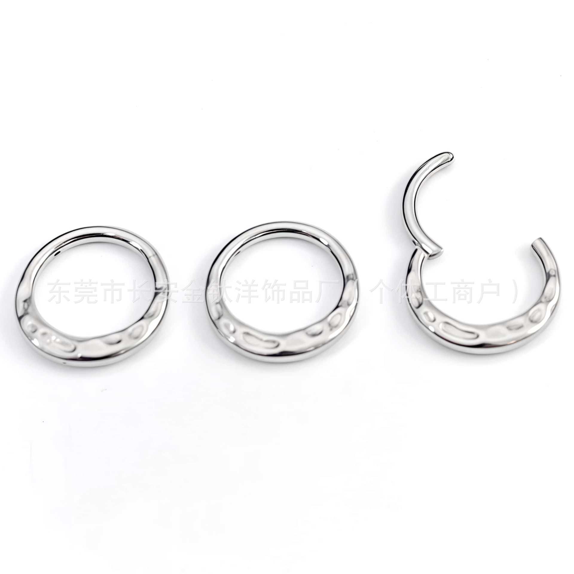 G23 Titanium Embossed Edge Closed Ring Pinless Hoop Earrings Nose Ring Seamless Ring Body Piercing Jewelry - Image 2