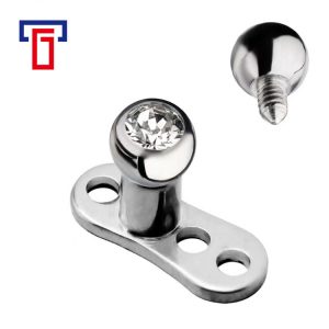 G23 Titanium Alloy Zircon Clavicle Needle Buried Nail Body Piercing Jewelry Earrings