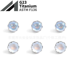 F136 Titanium Serrated Frosted Moonstone Inlaid Lip Piercing Labret Stud Ear Cartilage Navel Piercing Jewelry G23 Titanium Alloy