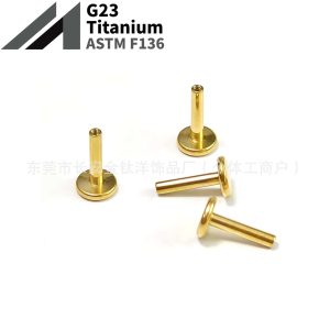 F136 Titanium 18K Gold Plated Internal Thread Labret Stud Flat Bottom Rod Body Piercing Jewelry