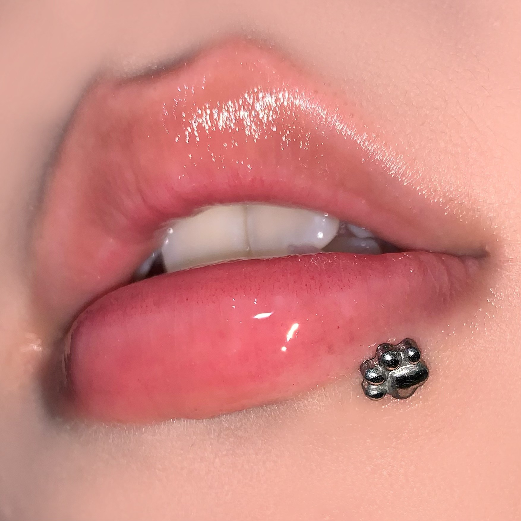 Cat Paw Dog Paw Bear Paw Lip Labret Stud 16G 1.2mm x 16mm Internally Threaded 316L Surgical Steel Lip Piercing Jewelry European American Hot Girl Wholesale - Image 3