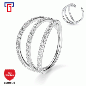G23 Titanium Double Slant Edge Hinge Compartment Bucket Set Zircon Nose Ring Hinge Segmented Earrings Cartilage Ring Multipurpose Ring