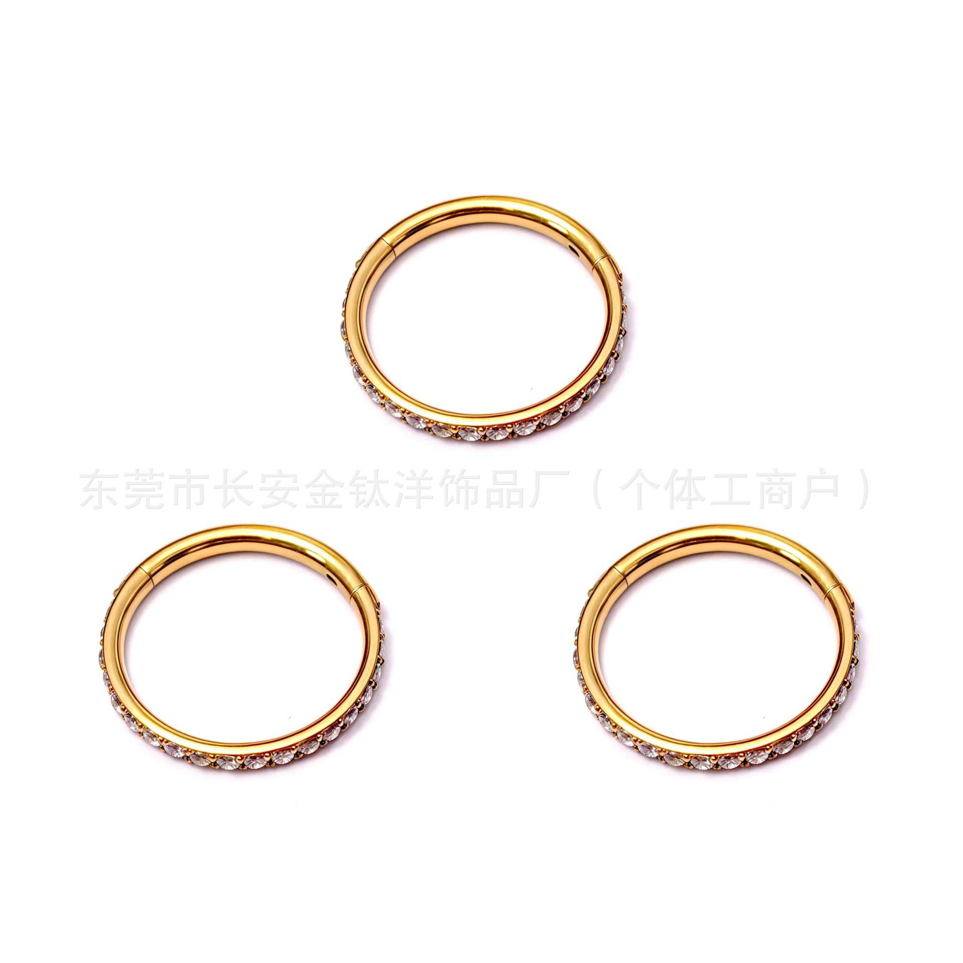 F136 Titanium Side Half-Set Diamond Closed Ring Seamless Ring Lip Ring Nose Ring Earrings G23 Titanium Alloy Piercing Jewelry - Image 3