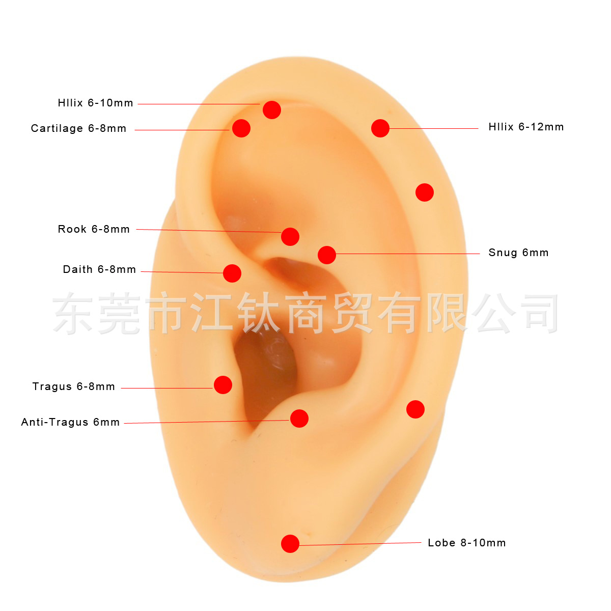 G23 Titanium Alloy Horn Multi-Ring Nose Ring Closed Ring Open Ring Earrings Nose Nails Ear Buckle Piercing Jewelry - Image 4
