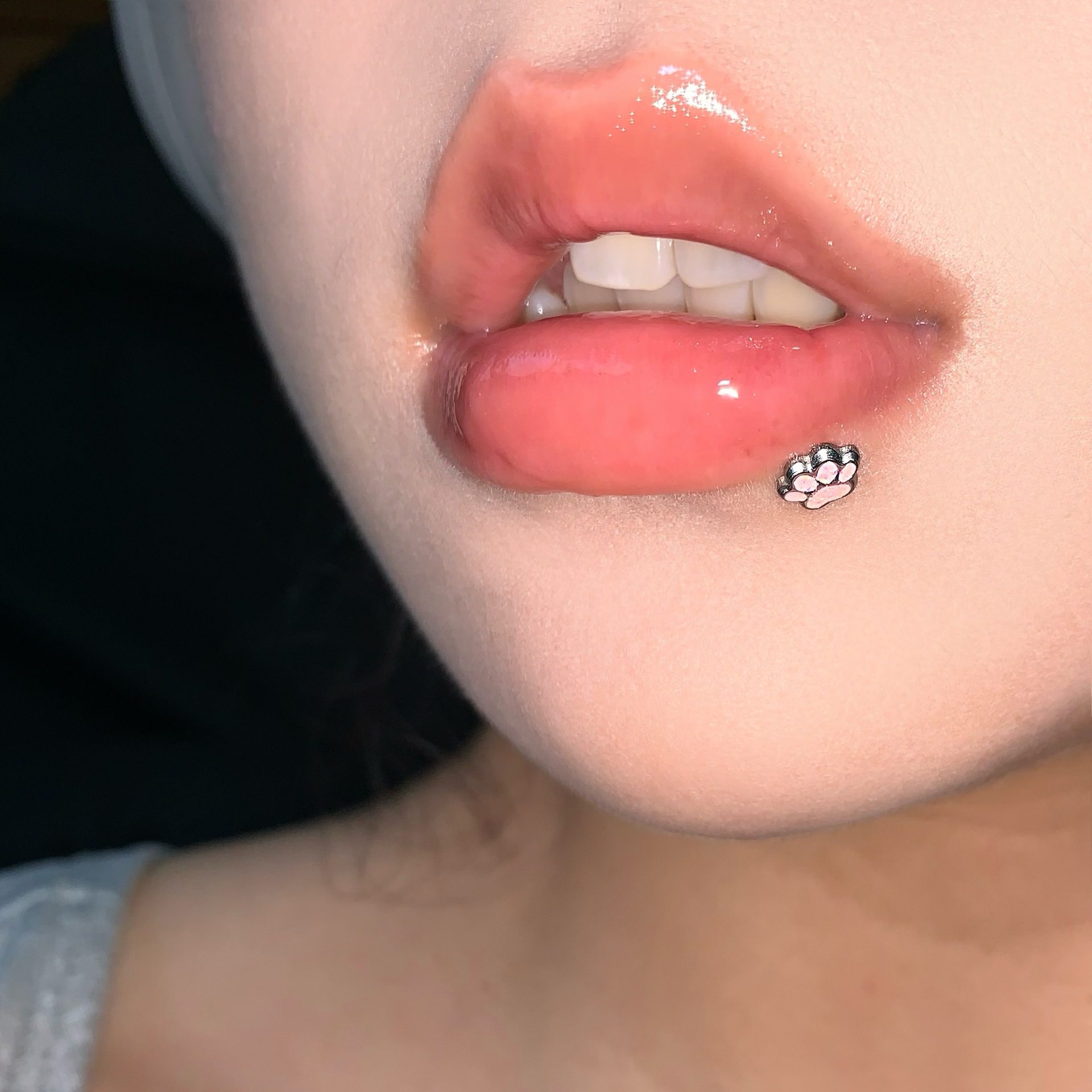 Pink Cat Claw Lip Labret Stud 16mm 1.2mm 316L Surgical Steel Internally Threaded Lip Ring Piercing Jewelry - Image 4