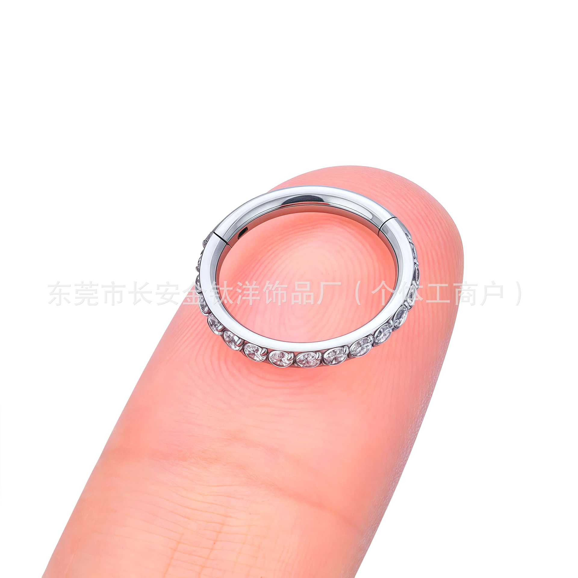 F136 Titanium Inlaid Zircon Closed Ring Earrings, Nose Rings, Lip Rings, Ear Studs, Cartilage Rings, G23 Titanium Body Piercing - Image 4