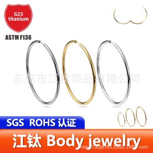 G23 Titanium Large Hoop Earrings Plain Hoop Ear Jewelry Cross-Border ASTM F136 Titanium Alloy Body Piercing Ear Studs Ear Hoops