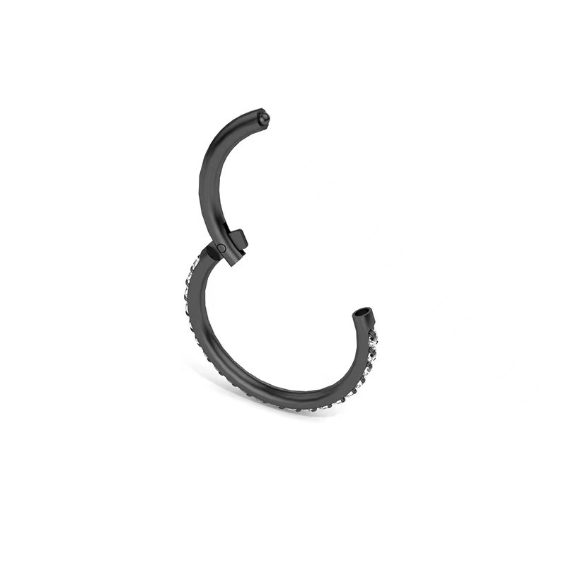 G23 Titanium Nose Ring Seamless Closed Ring CZ Micro-Inlaid Zircon Nose Stud Hoop for Women Men - Image 3