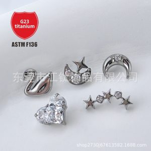 G23 Titanium Alloy Body Piercing Earrings - Star Moon Heart Design with Swan Motif - Gold CZ Ear Stud