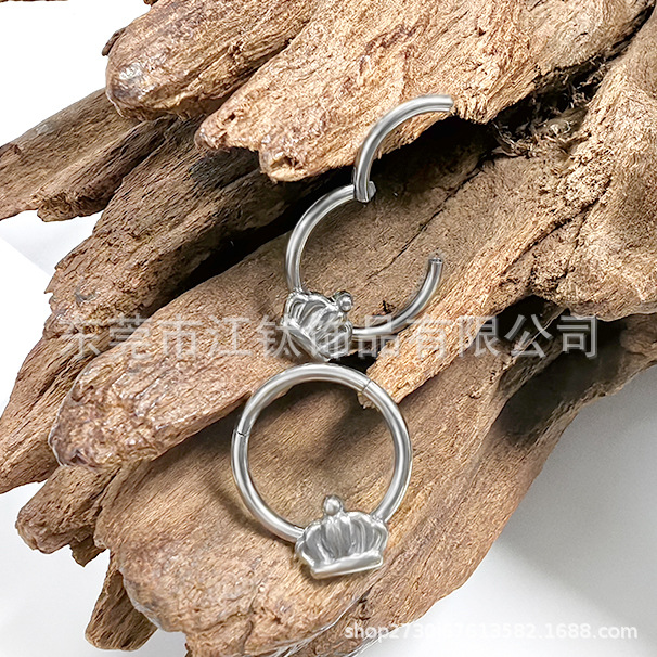 F136 Titanium Seamless Ring Nose Hoop Crown Earrings G23 Titanium Alloy Body Jewelry - Image 3
