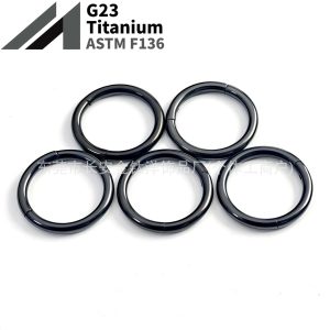 F136 Titanium Black-Plated Seamless Nose Ring Closed Hoop for Ear, Lip Piercing Jewelry