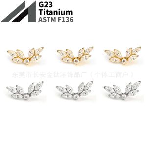 Gold F136 Titanium Internal Thread Angel Wings 5A Zircon Ear Studs Ear Bone Nails Ear Piercing Jewelry