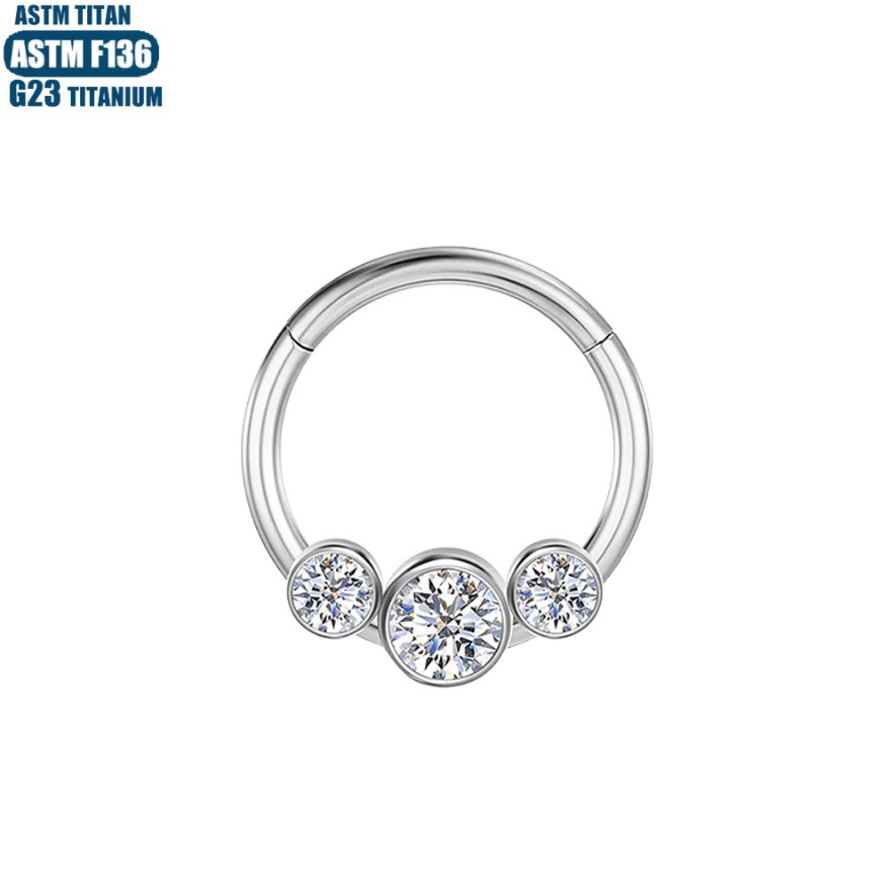 G23 Titanium Hinge Nose Ring with Zircon Earrings Seamless Ring Body Piercing Jewelry - Image 2