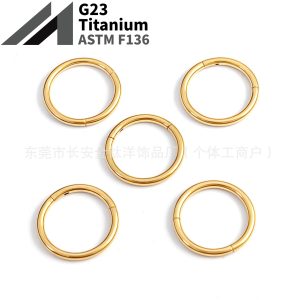F136 Titanium 18K Gold-Plated Seamless Nose Ring Closed Hoop for Cartilage Lip Ear Piercing Jewelry
