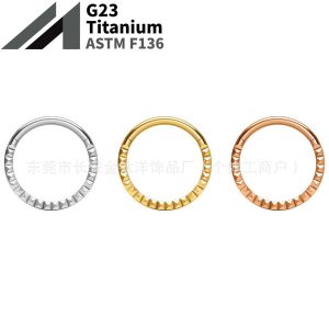 F136 Titanium Engraved Closed Ring, Pinless Seamless Ring, Nose Ring, Lip Ring, Ear Cartilage Stud, G23 Titanium Alloy Piercing Jewelry