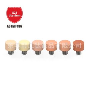 F136 Titanium Flat Back Ear Studs - Flesh Color Invisible Helix Ear Bone Nails - G23 Titanium Alloy Body Piercing Skin Jewelry